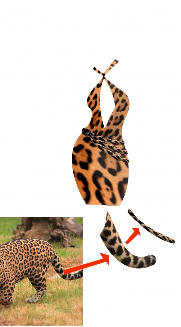 Creation of Leopard: Step 3